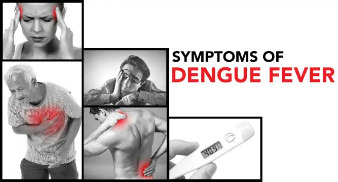 people experiencing symptoms of dengue fever