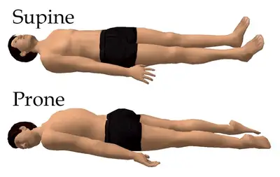 Supine and Prone
